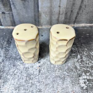 Sango Continental Beige Salt & Pepper 7376042 UNUSED